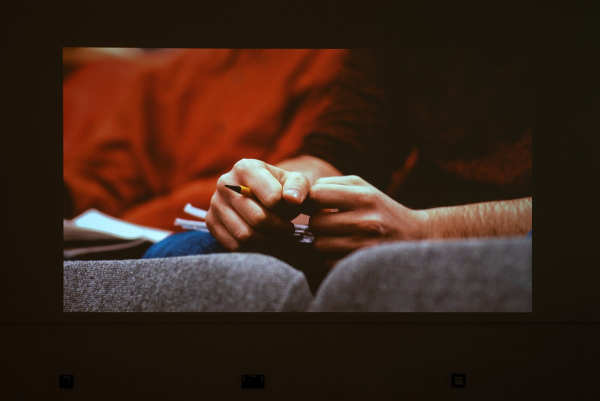 steans-web-18